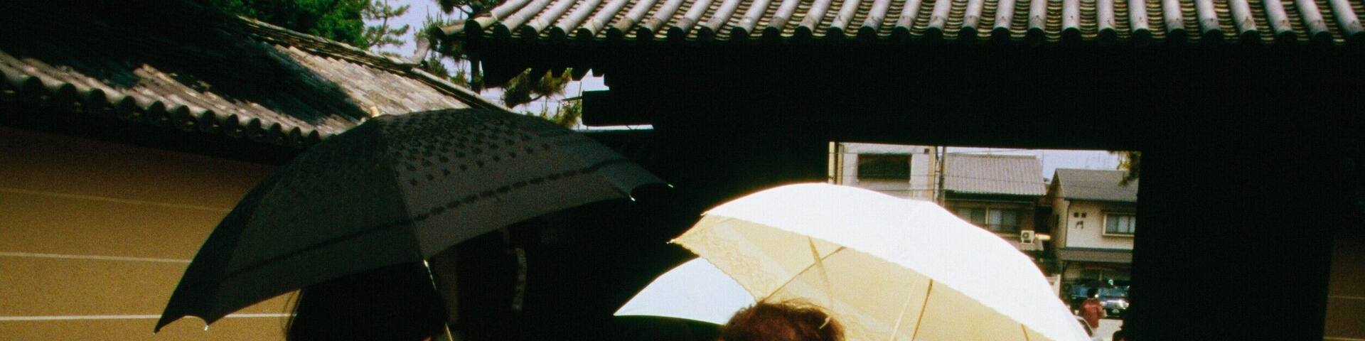 Rear view of two mid adult women walking on a walkway, Daitokuji Temple, Kyoto, Japan