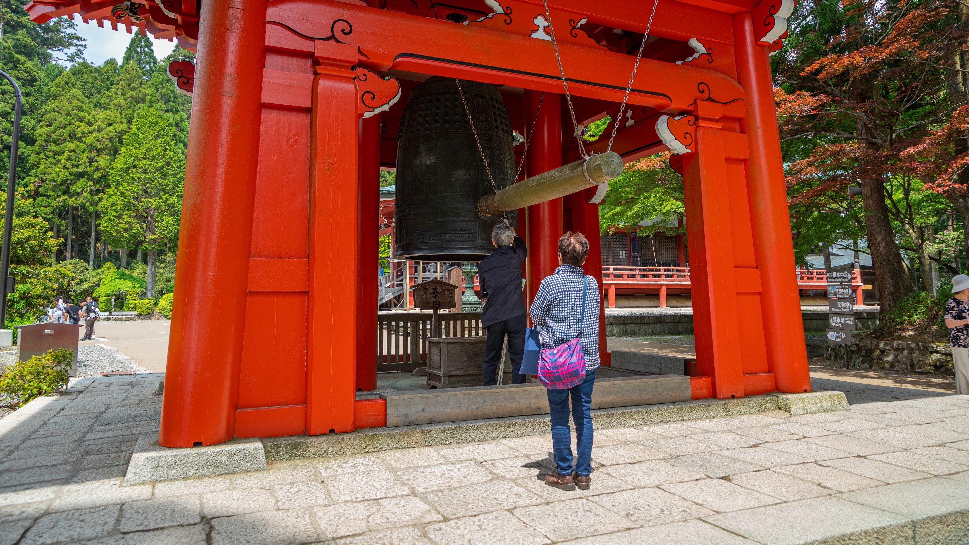 Enryakuji Temple showing heritage elements and a temple or place of worship as well as an individual femail