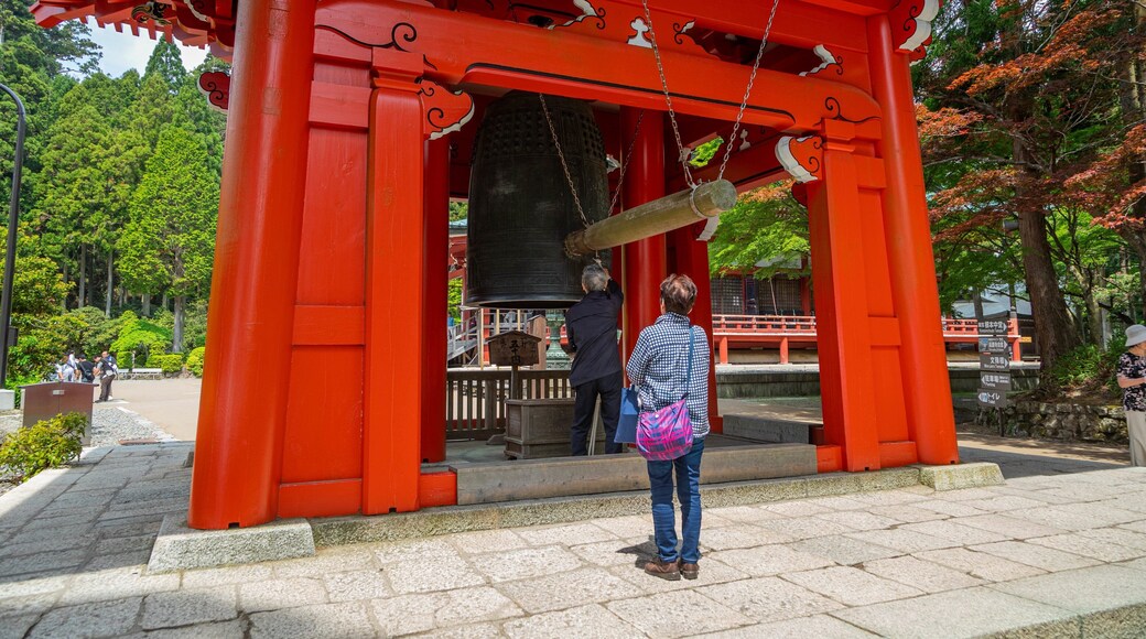 Enryakuji Temple showing heritage elements and a temple or place of worship as well as an individual femail