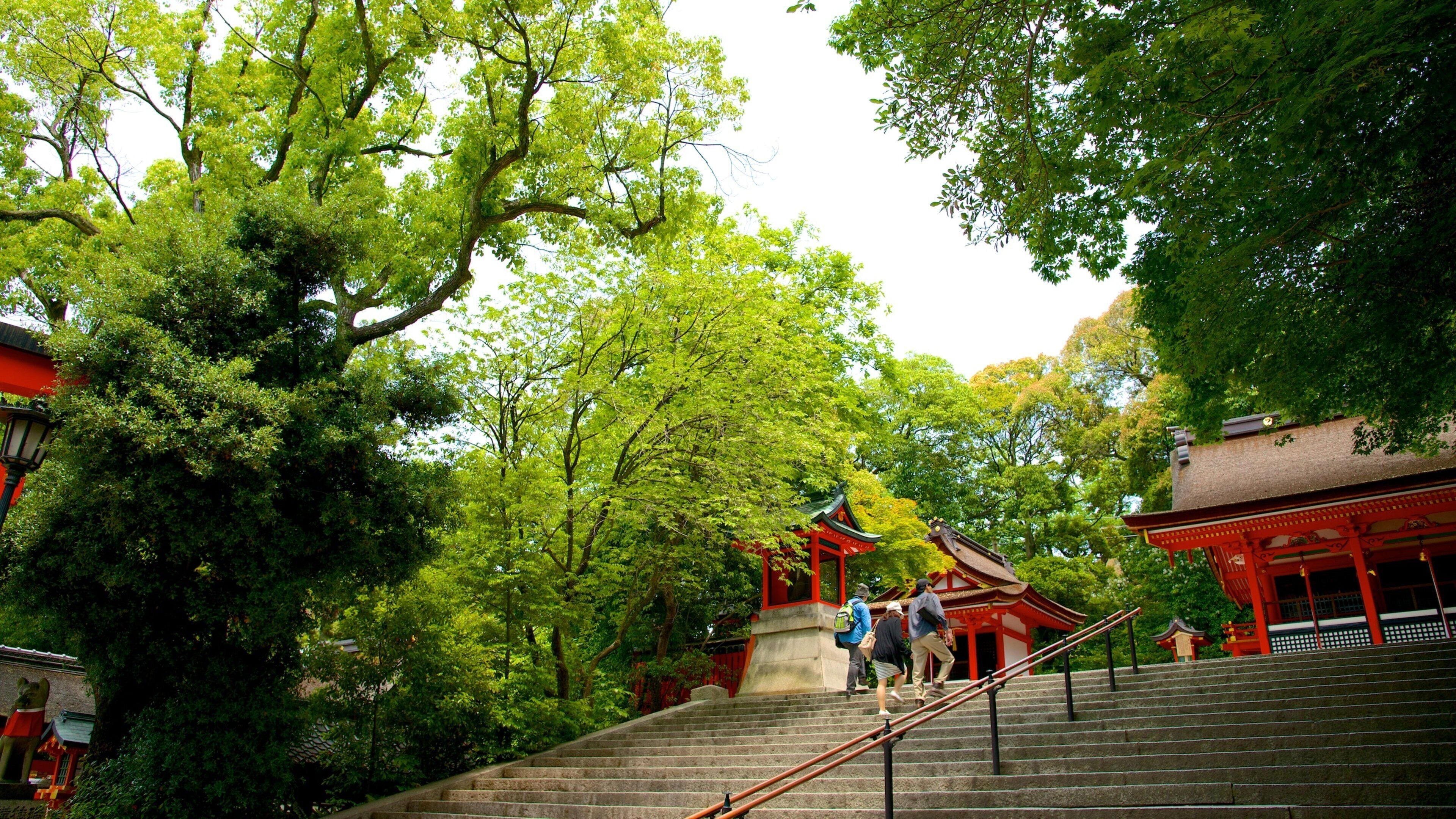 Templo Fushimi Inari mostrando un templo o lugar de culto y aspectos religiosos