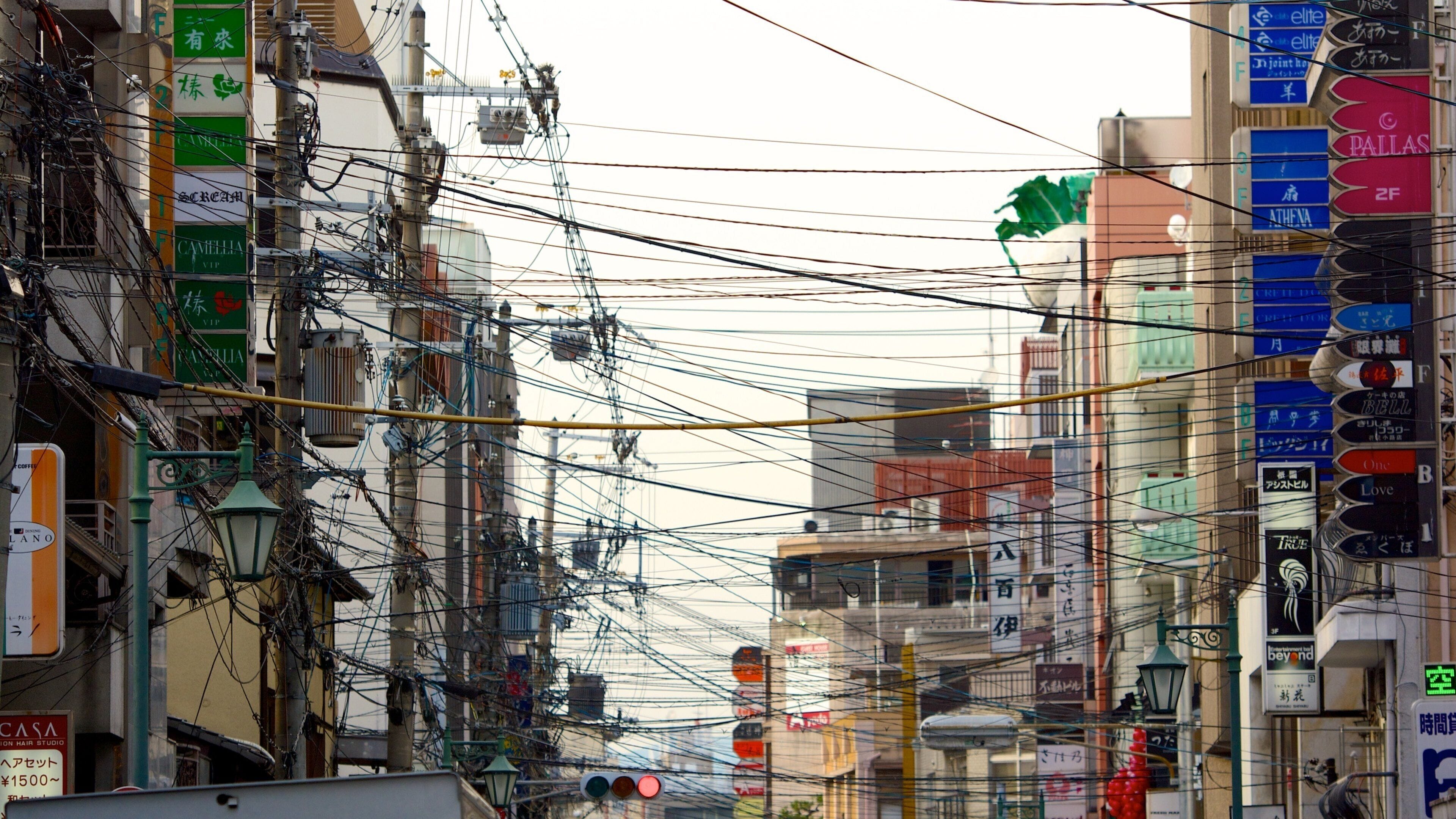Fushimi Inari Shrine which includes a city