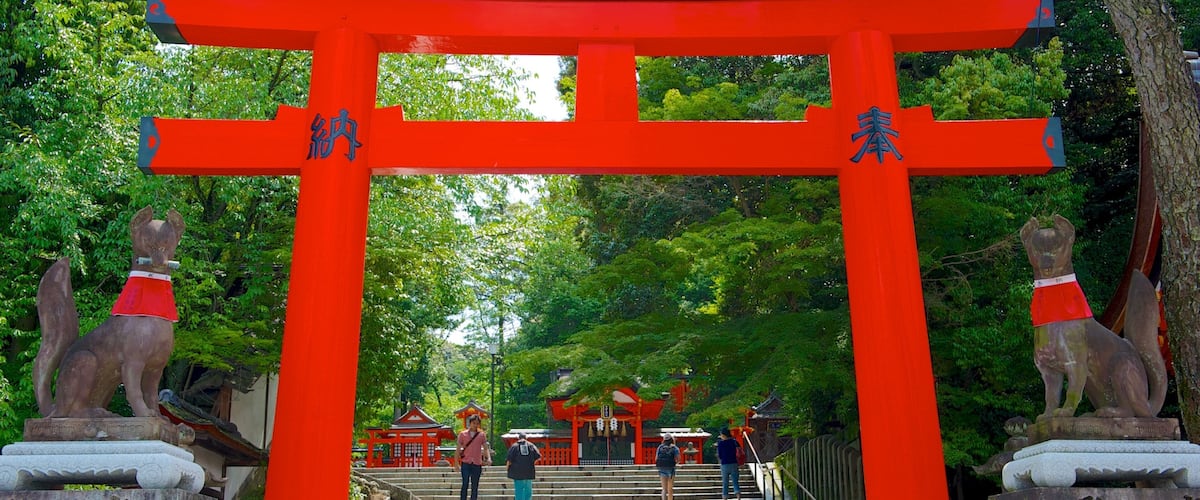 Templo Fushimi Inari mostrando un templo o lugar de culto y elementos religiosos