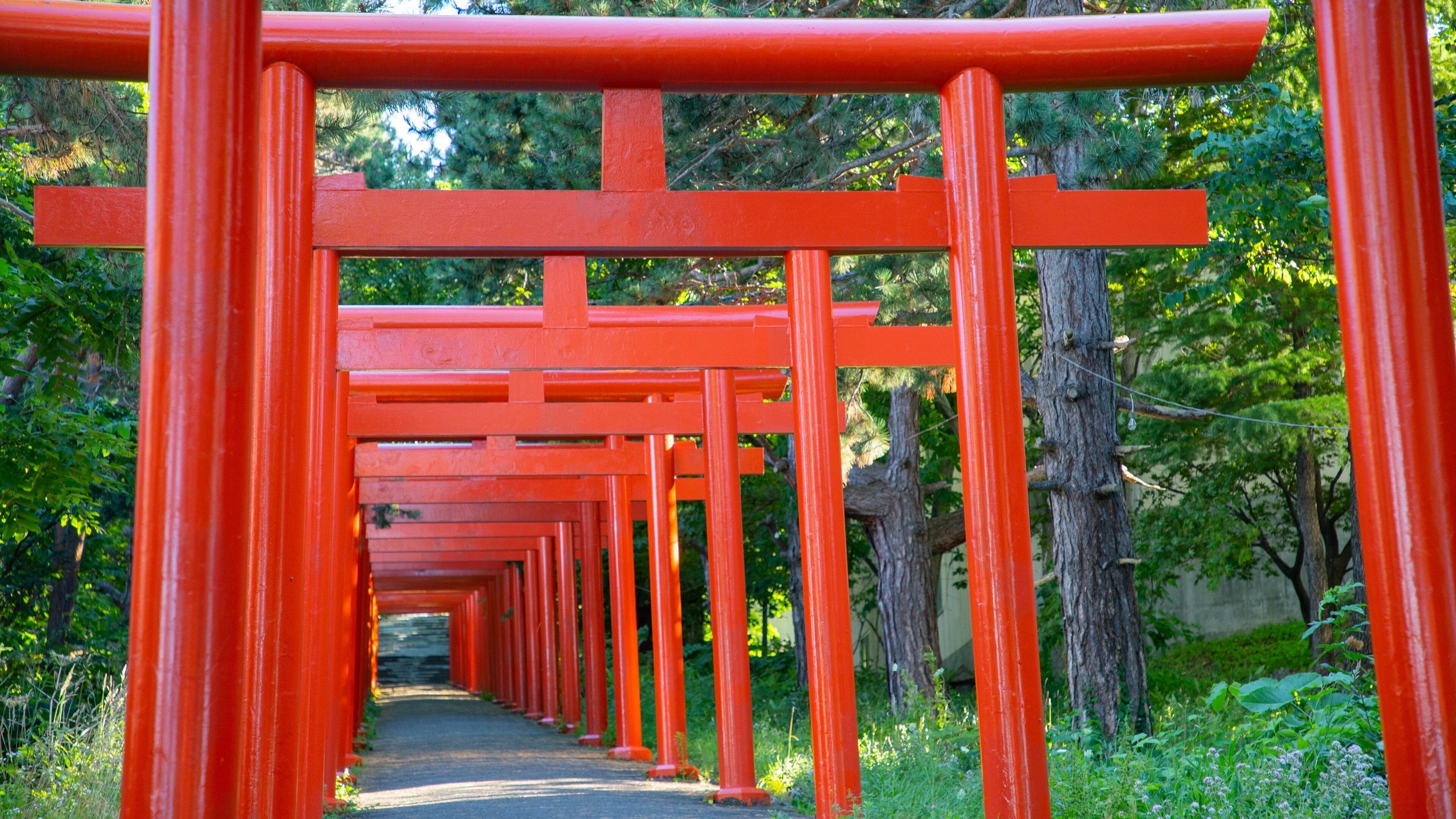 Fushimi Inari Shrine