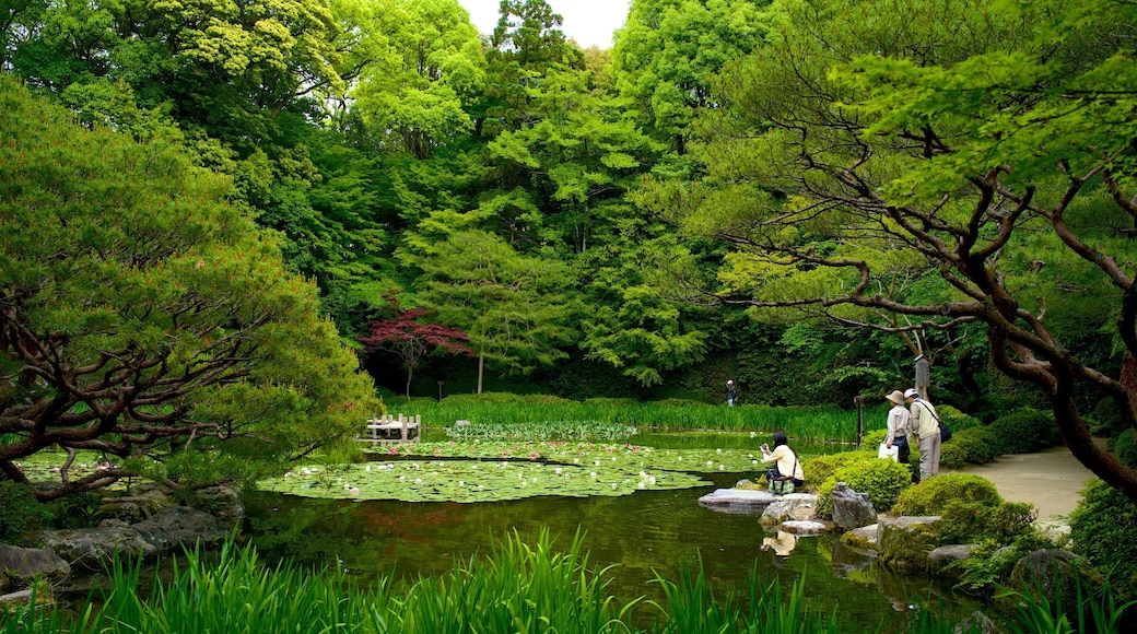 Santuario de Heian ofreciendo un jardín y un estanque