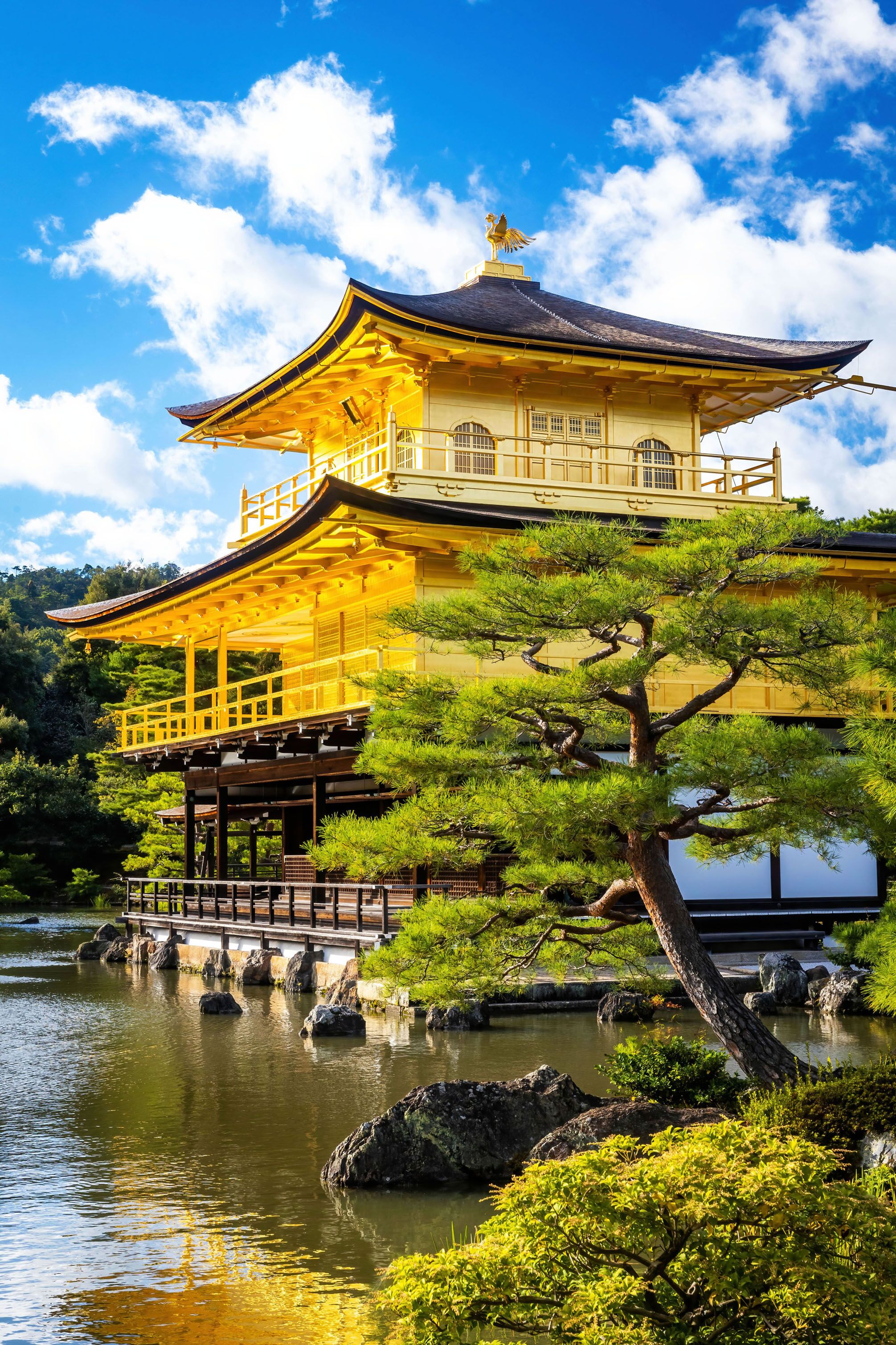 Scenic view of Kinkaku-ji shrine golden temple building view at fall