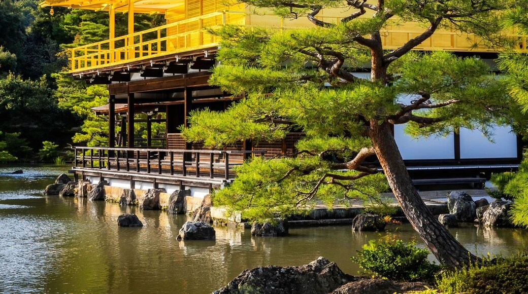 Scenic view of Kinkaku-ji shrine golden temple building view at fall