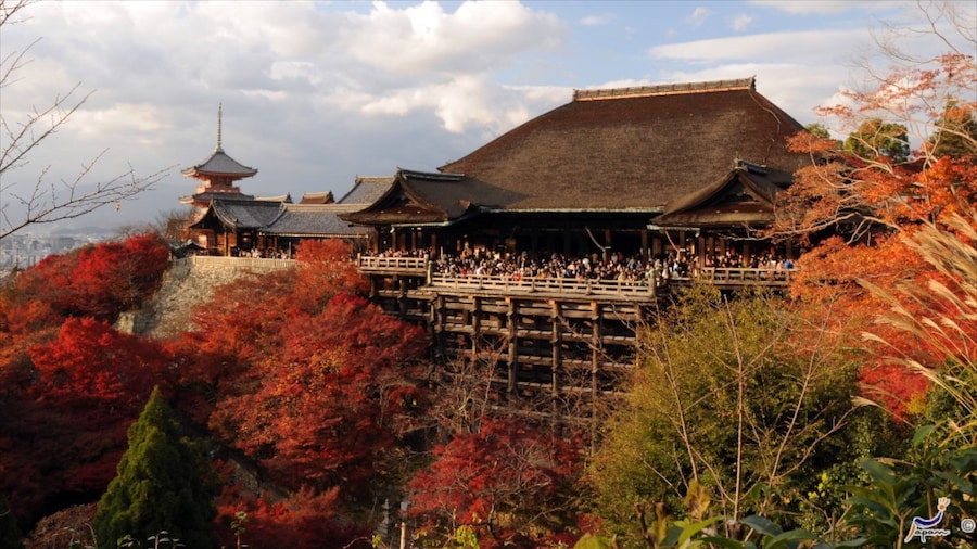 Đền Kiyomizu trong đó bao gồm đền chùa và tôn giáo