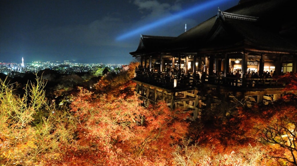 Kiyomizu Temple featuring religious aspects, night scenes and a temple or place of worship