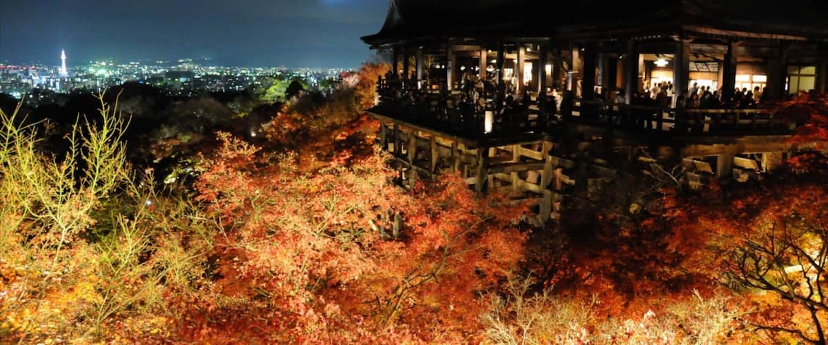 Kiyomizu Temple which includes a temple or place of worship, religious elements and night scenes