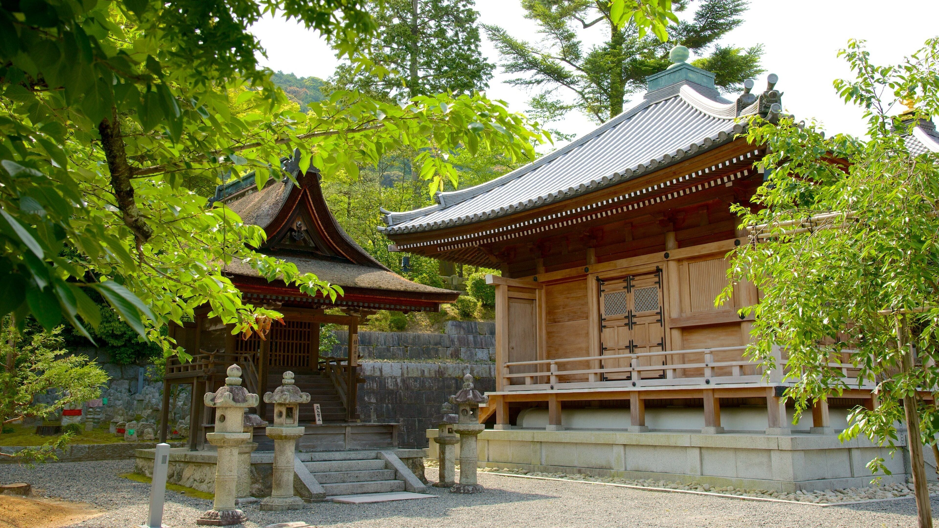 A traditional Japanese temple with a curved roof, surrounded by lush greenery and stone lanterns.