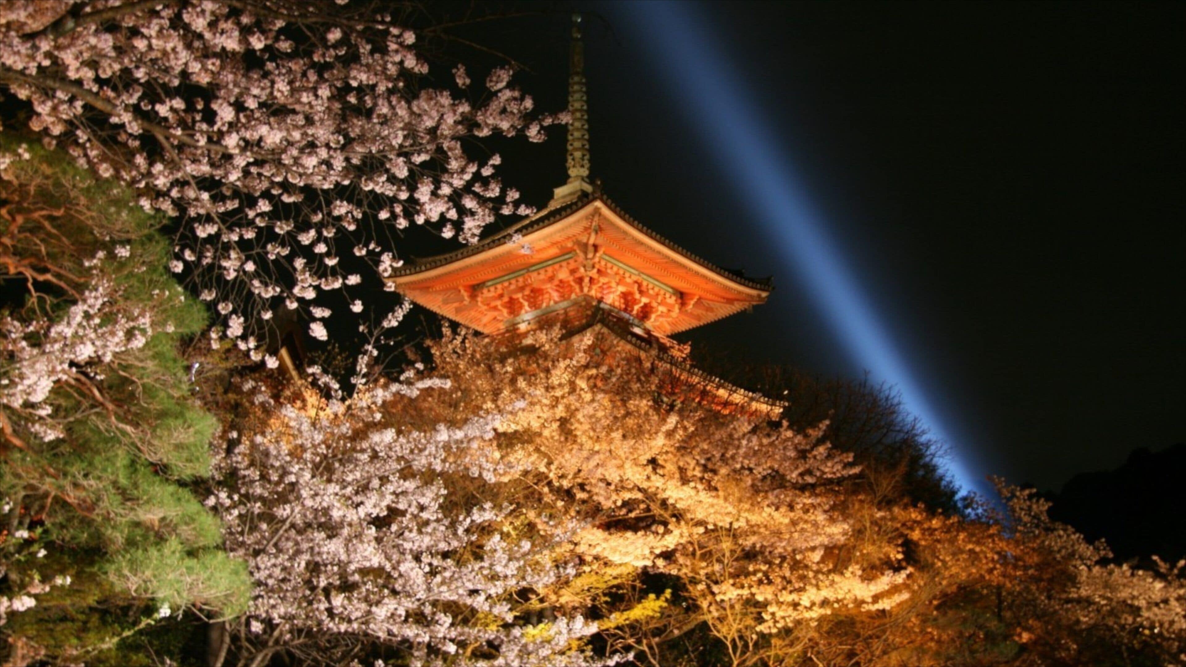 Kiyomizu Temple which includes religious aspects, flowers and a temple or place of worship