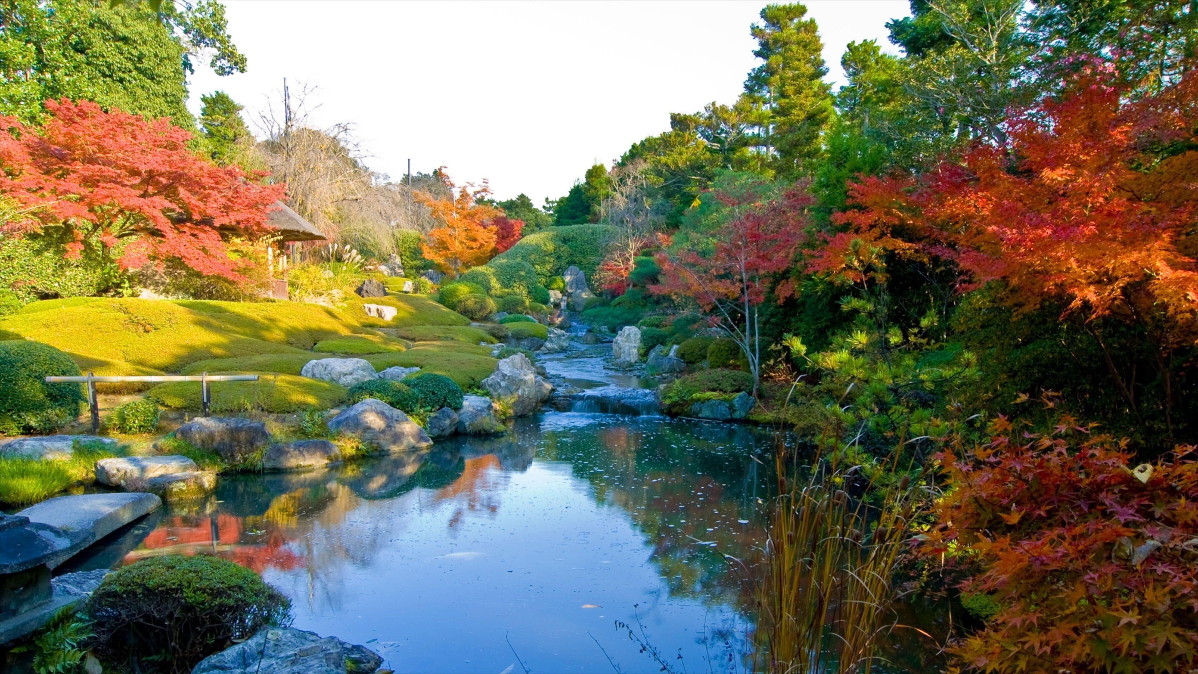 Myoho-in Temple featuring a park, fall colors and a pond