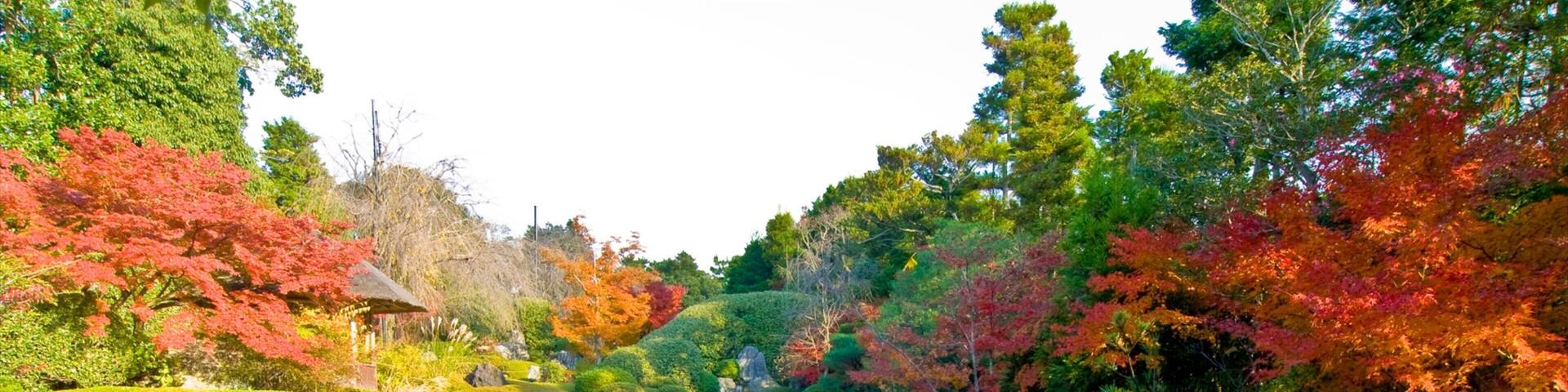 Myoho-in Temple featuring a park, fall colors and a pond