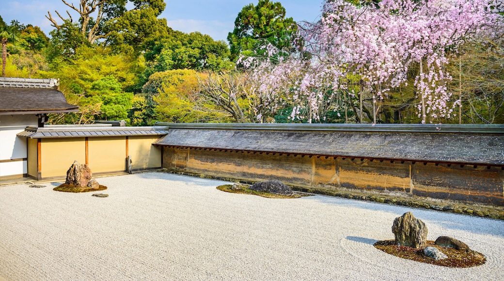 ECM9MH Kyoto, Japan at Ryoan-ji Temple Zen garden in the spring season.