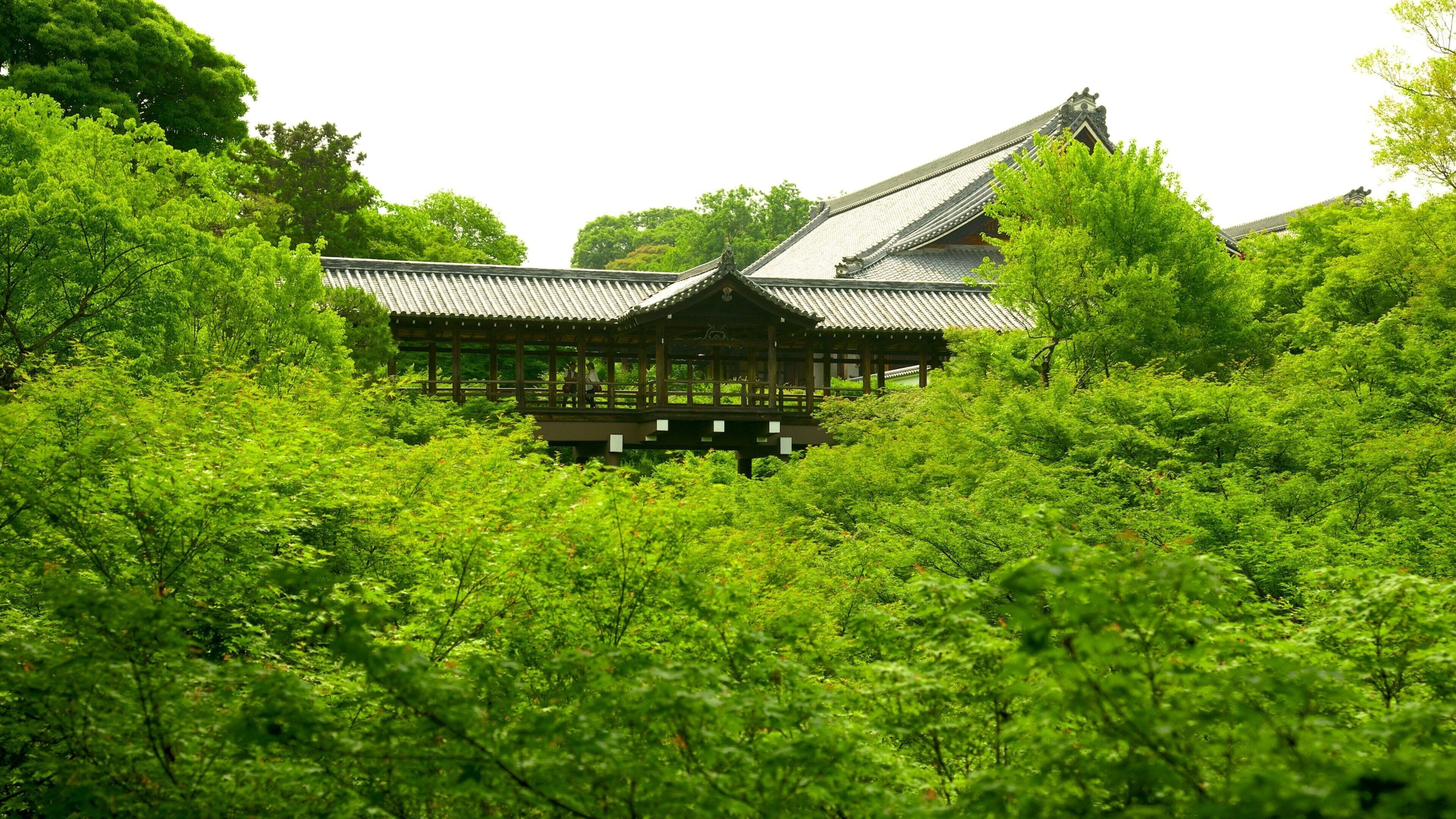 Tofukuji-tempel inclusief religieuze elementen en een tempel of gebedshuis