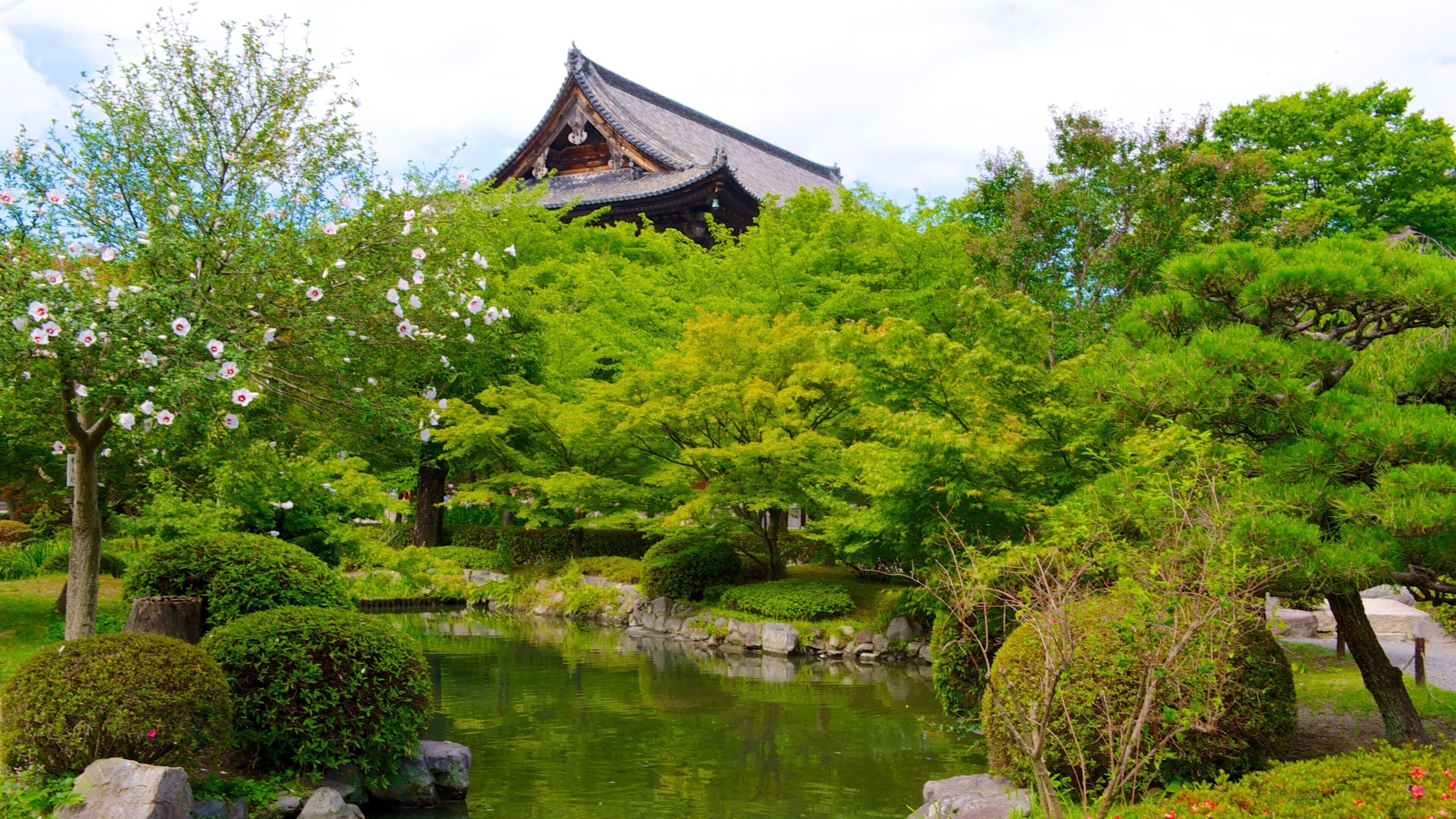 Toji Temple featuring flowers, a pond and heritage architecture