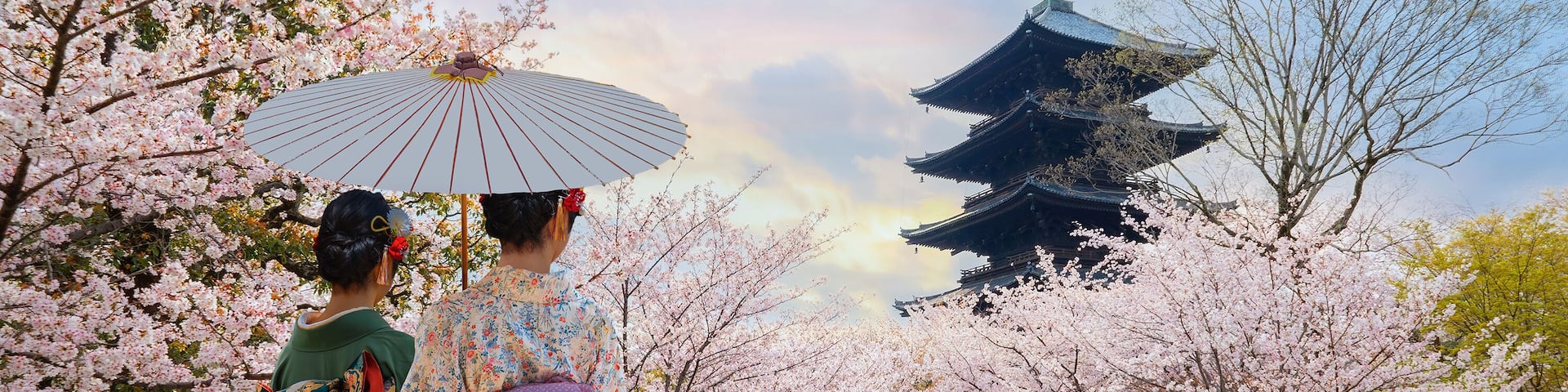 Cherry blossoms, traditional Japanese architecture, and a pathway.