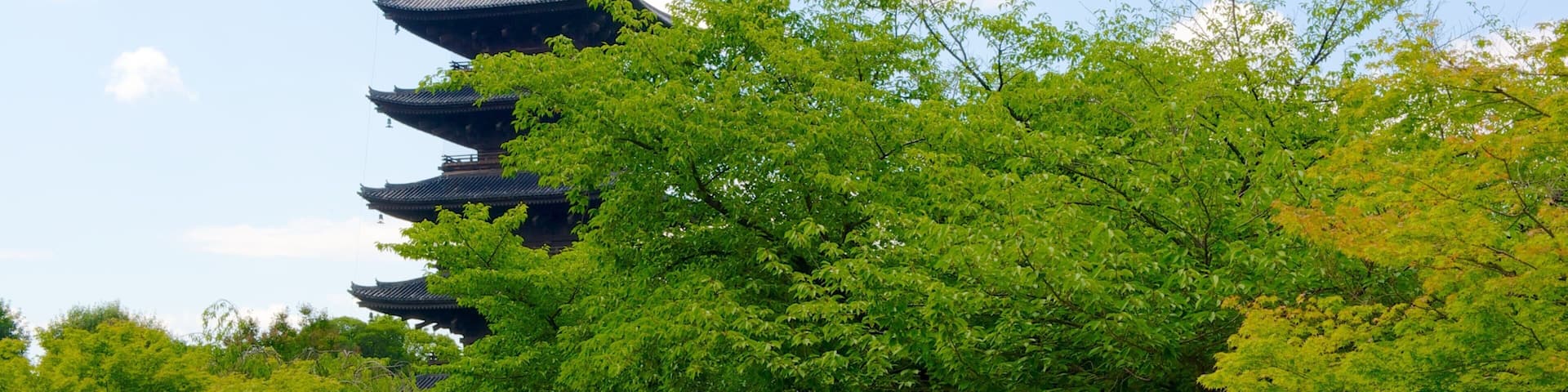 东寺