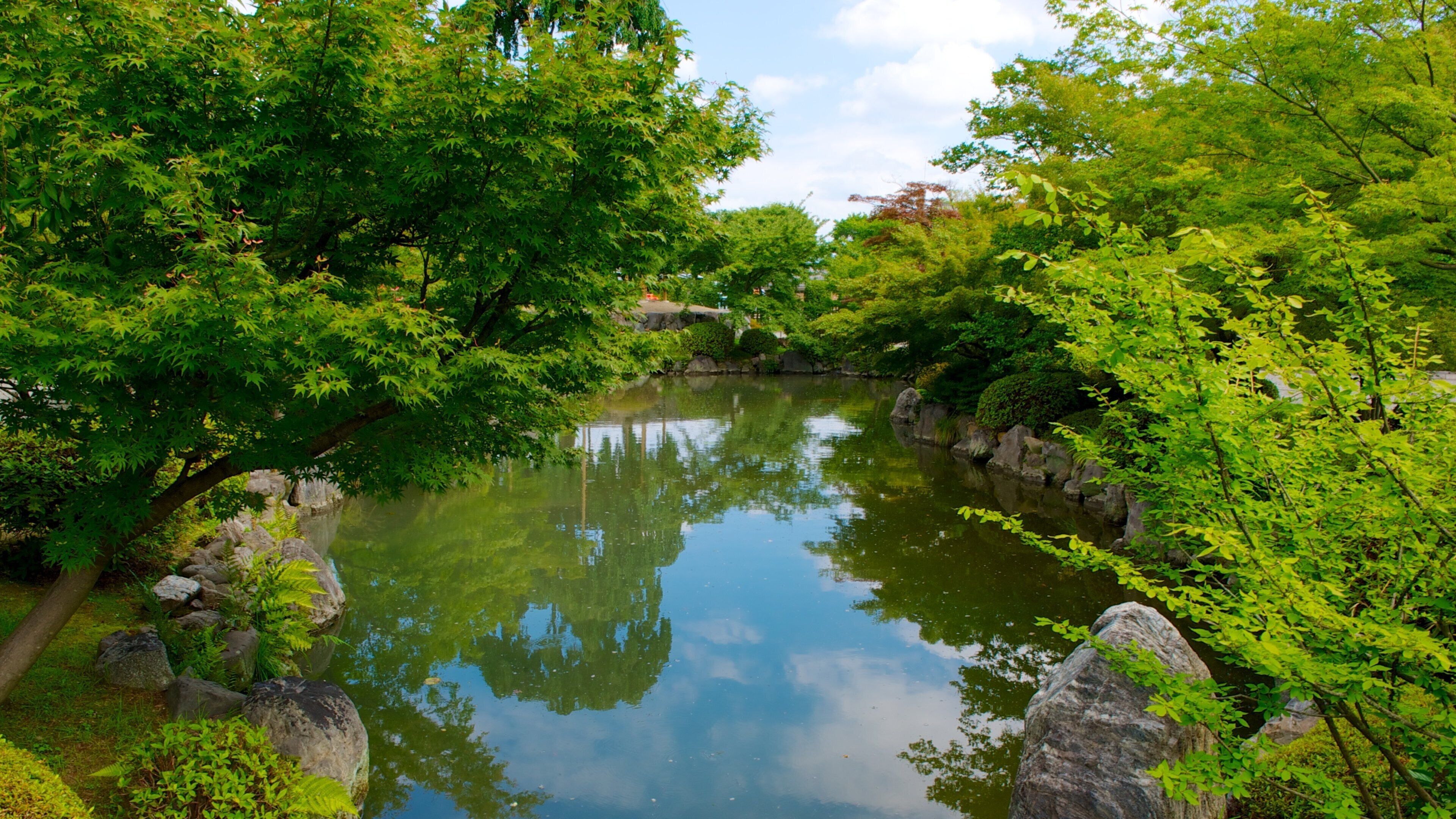 Toji Temple featuring a garden, religious aspects and a pond