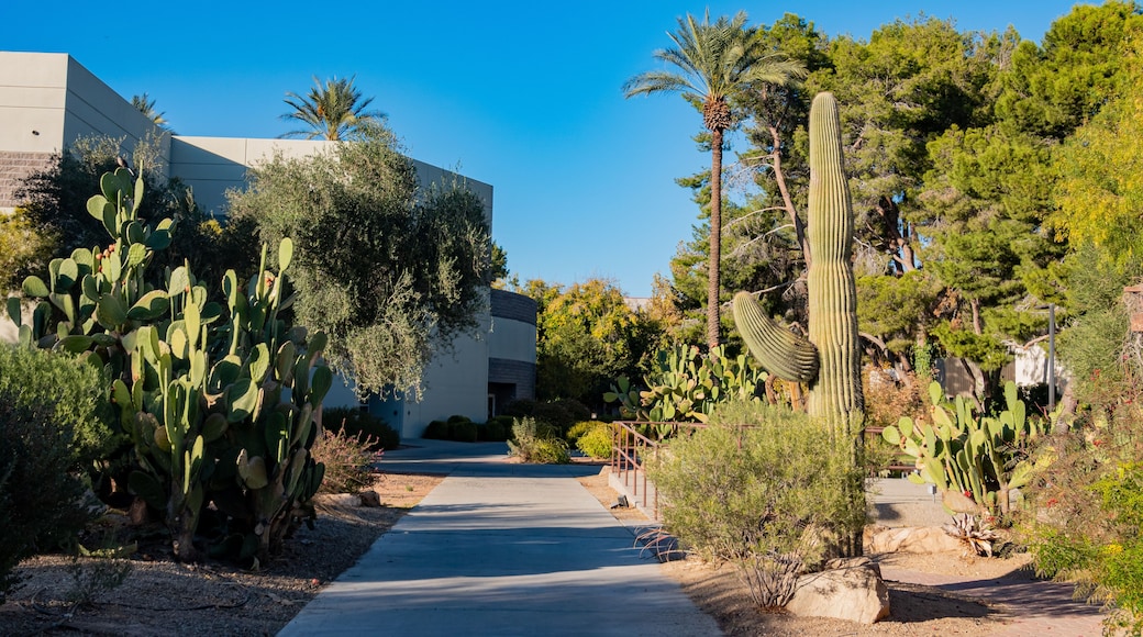 University of Nevada