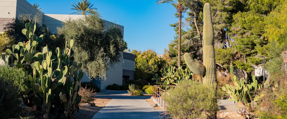 Beautiful landscape of the UNLV