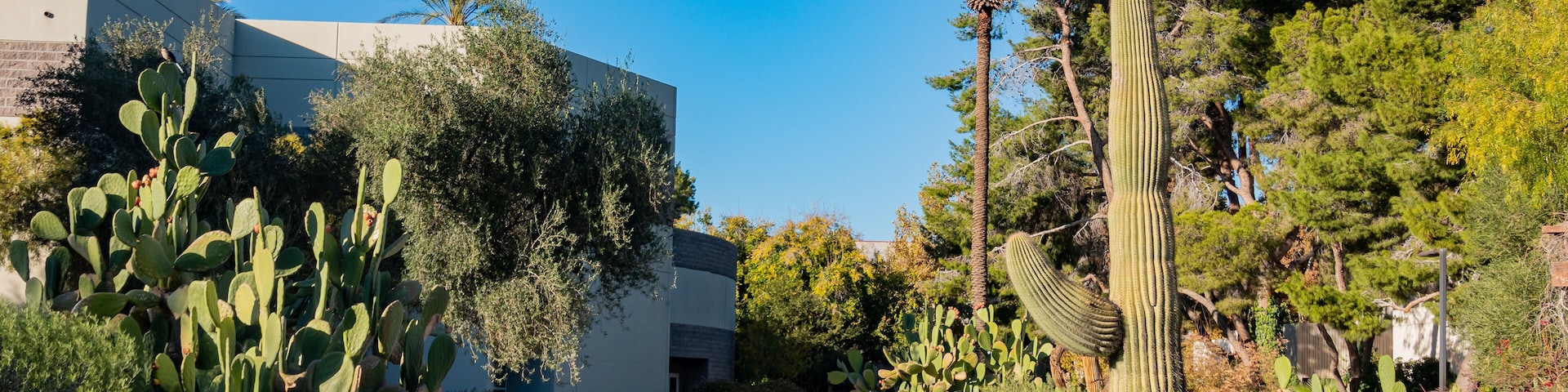 Beautiful landscape of the UNLV