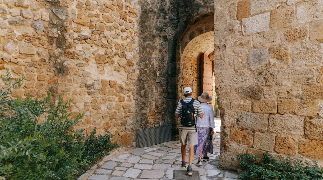 Castle of São Jorge showing heritage elements as well as a couple