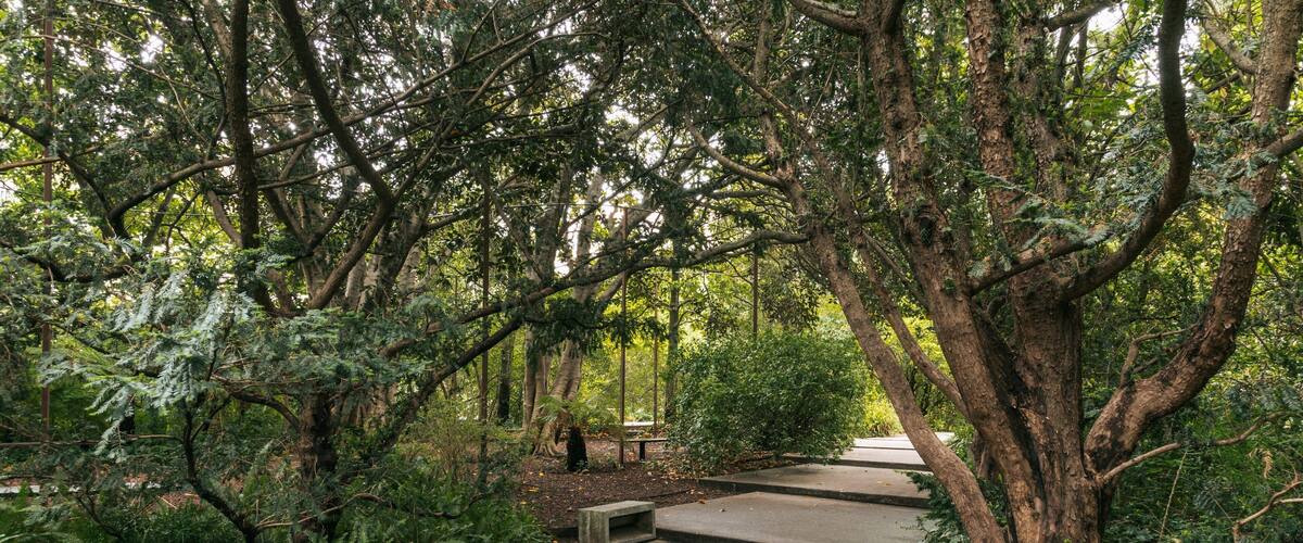 Gulbenkian Museum showing a park