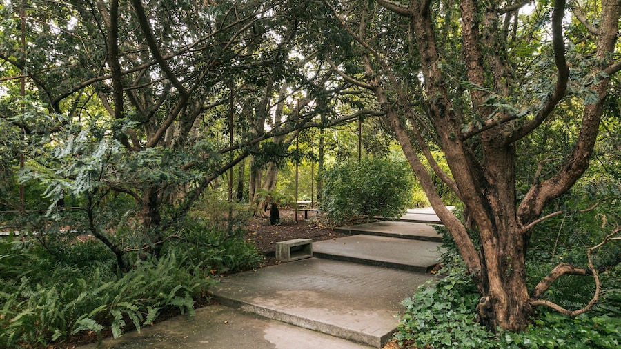 Gulbenkian Museum showing a park