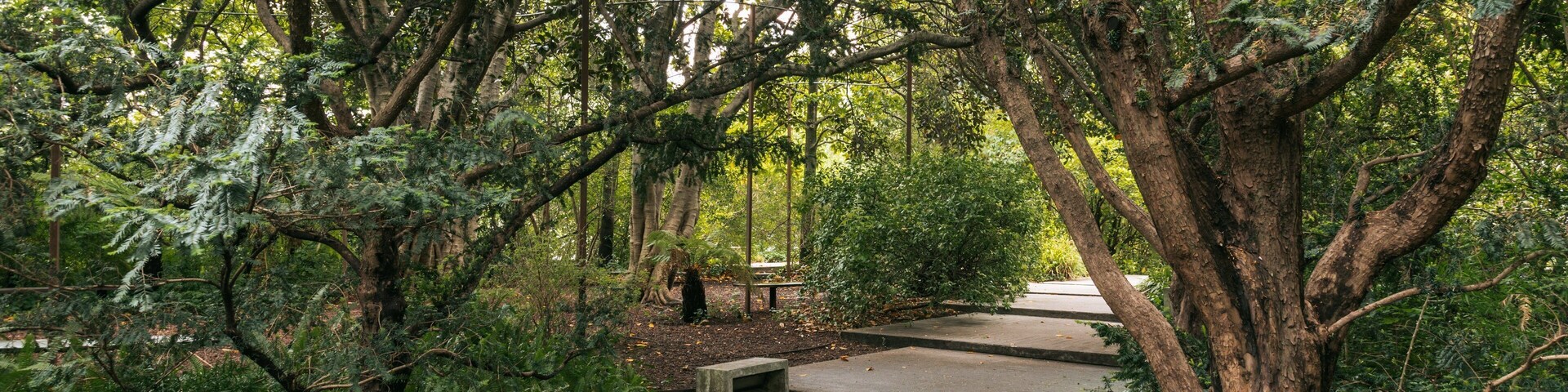 Gulbenkian Museum showing a park