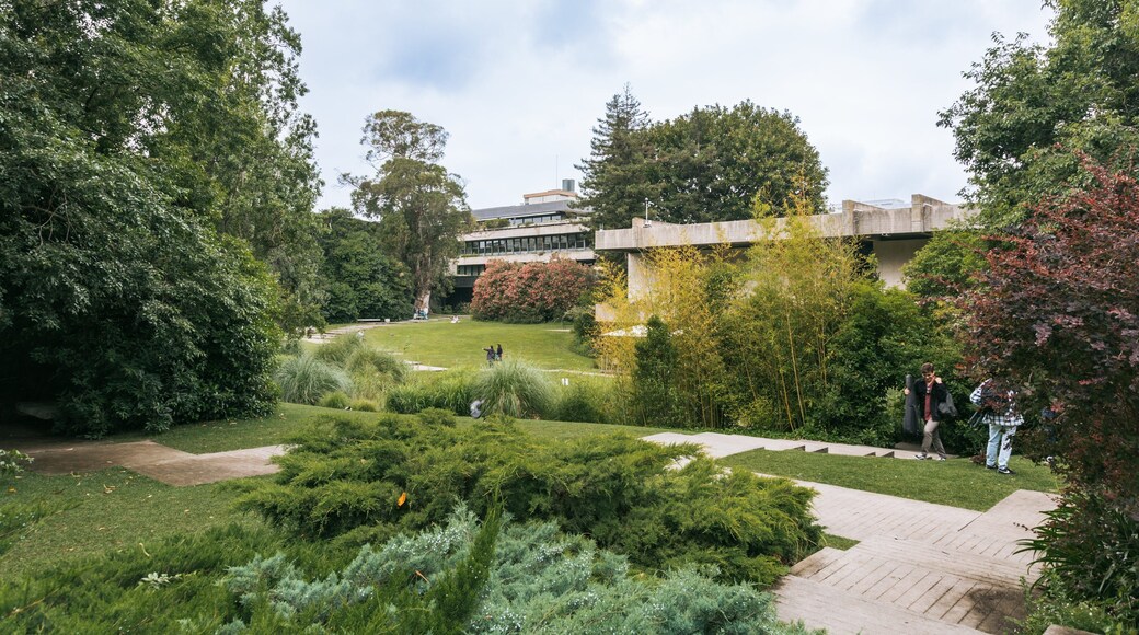 Gulbenkian Museum which includes a park