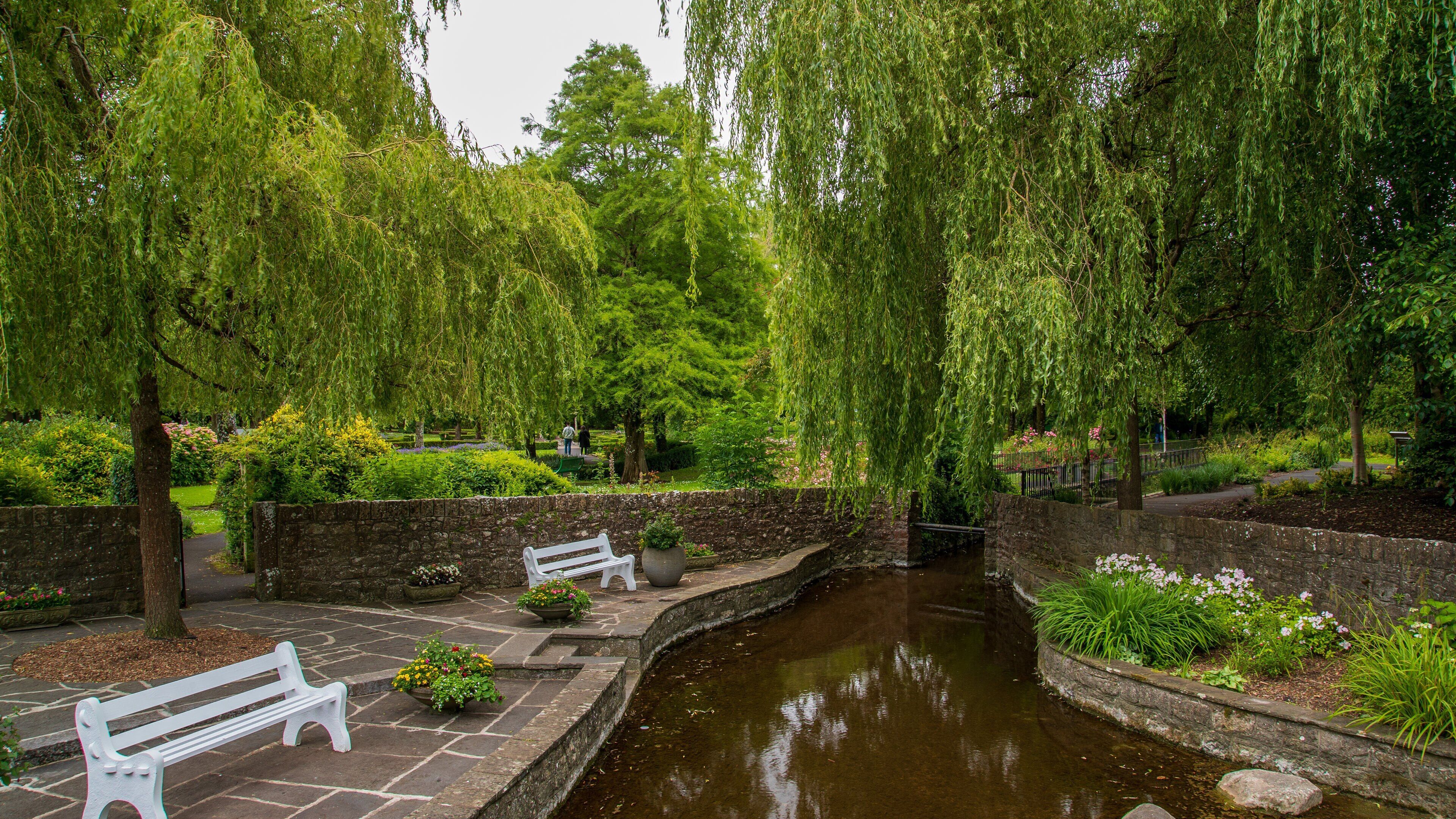 Adare showing a park and a pond