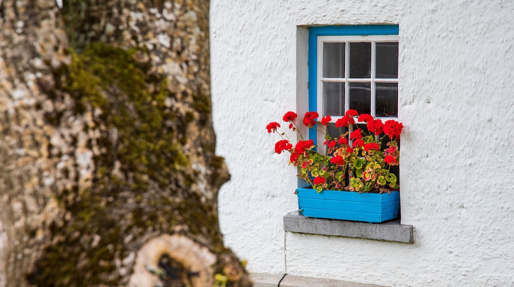 Adare