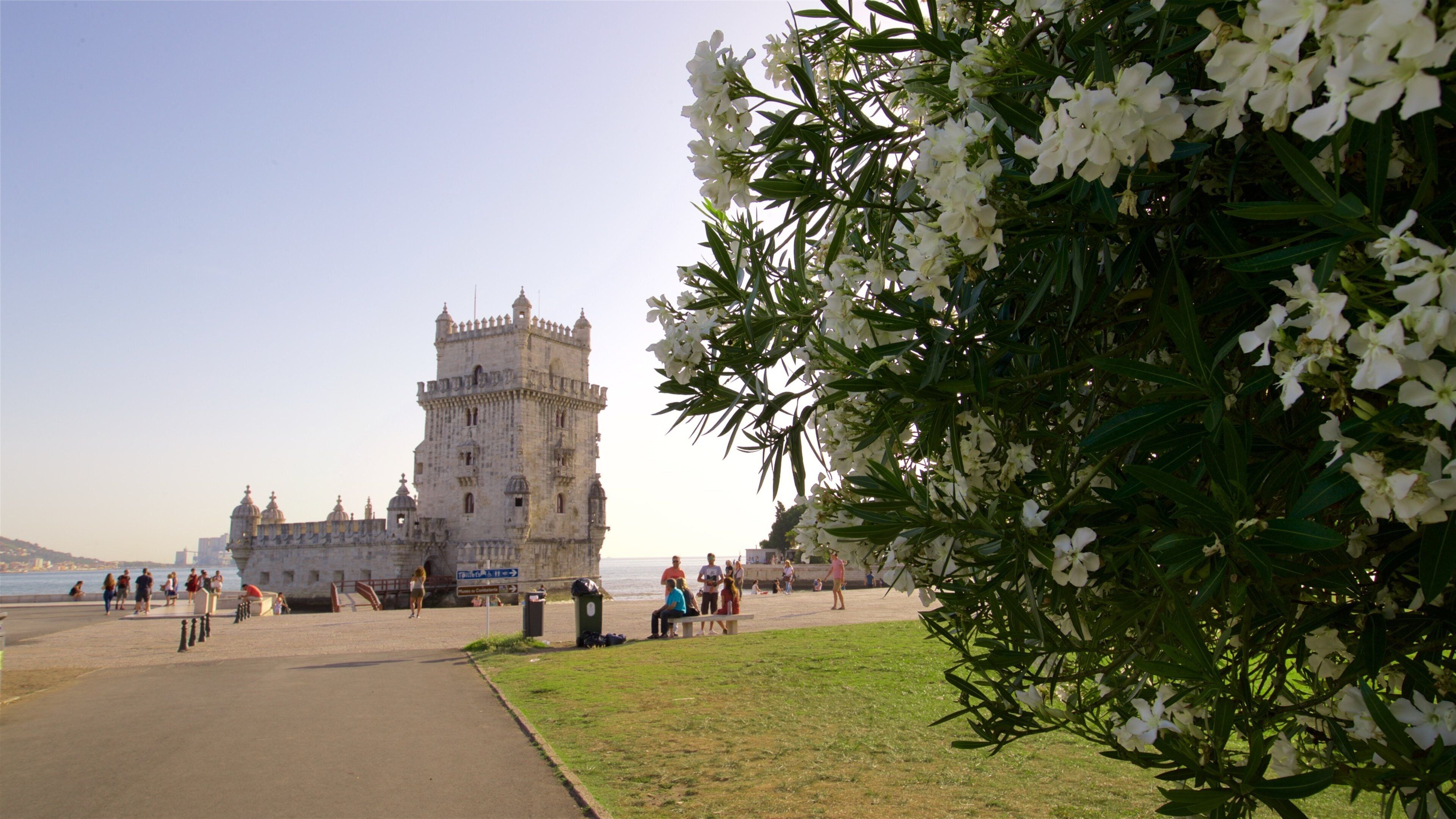 Torre de Belém que incluye flores salvajes, arquitectura patrimonial y vistas de una costa