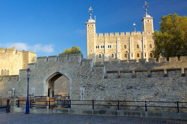 Tour de Londres montrant château et patrimoine historique