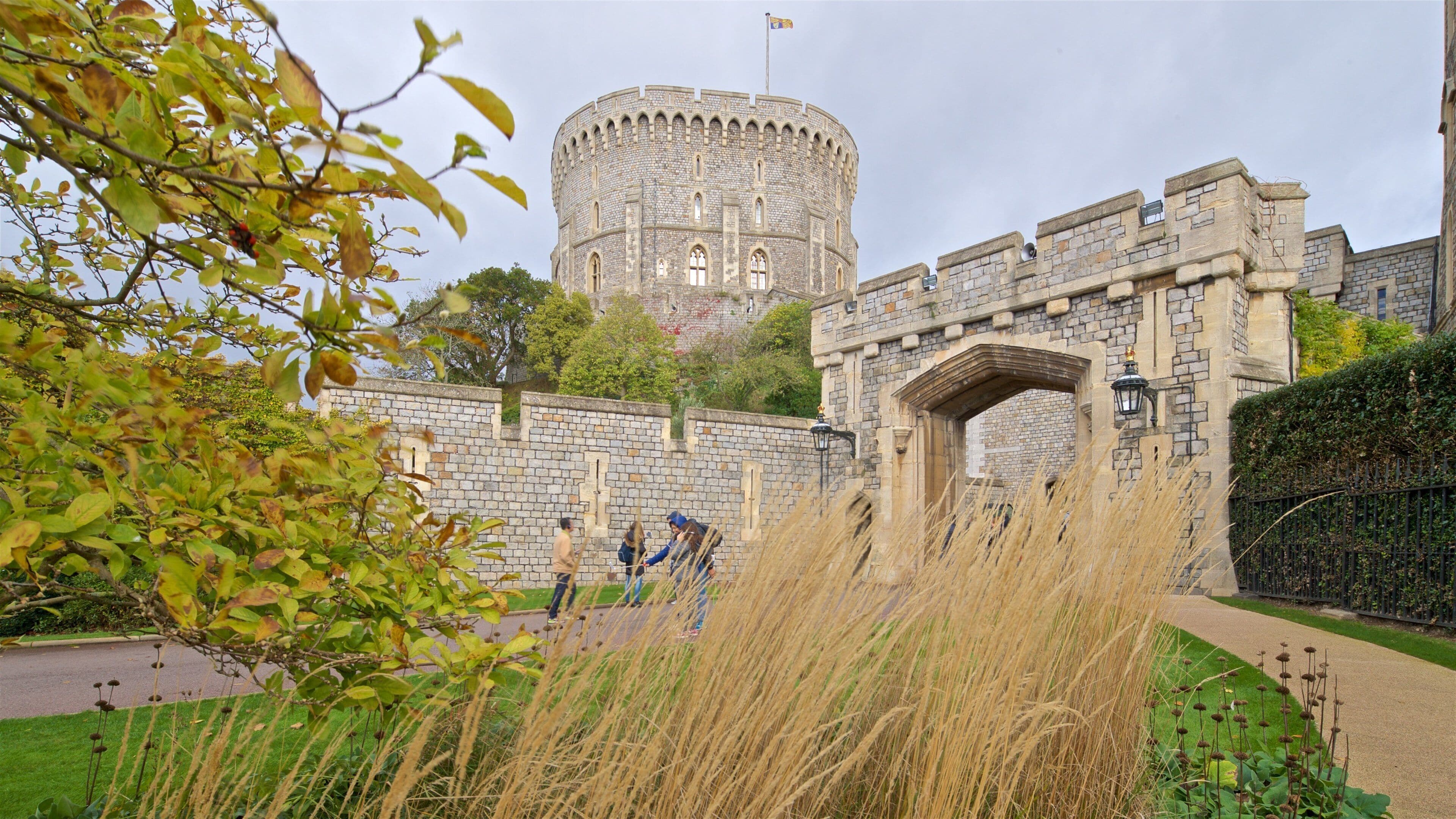 2026 Château de Windsor, parc et vieille ville depuis Londres, demi-journée