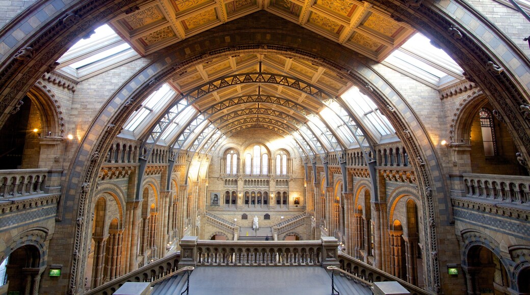 Natural History Museum showing interior views, heritage architecture and a church or cathedral