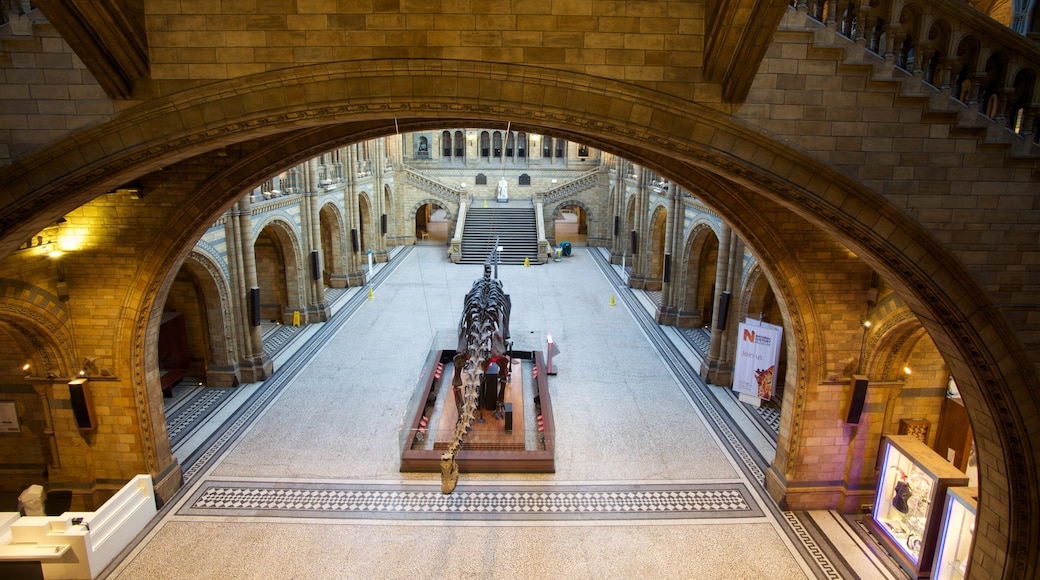 London Natural History Museum which includes heritage elements, interior views and heritage architecture