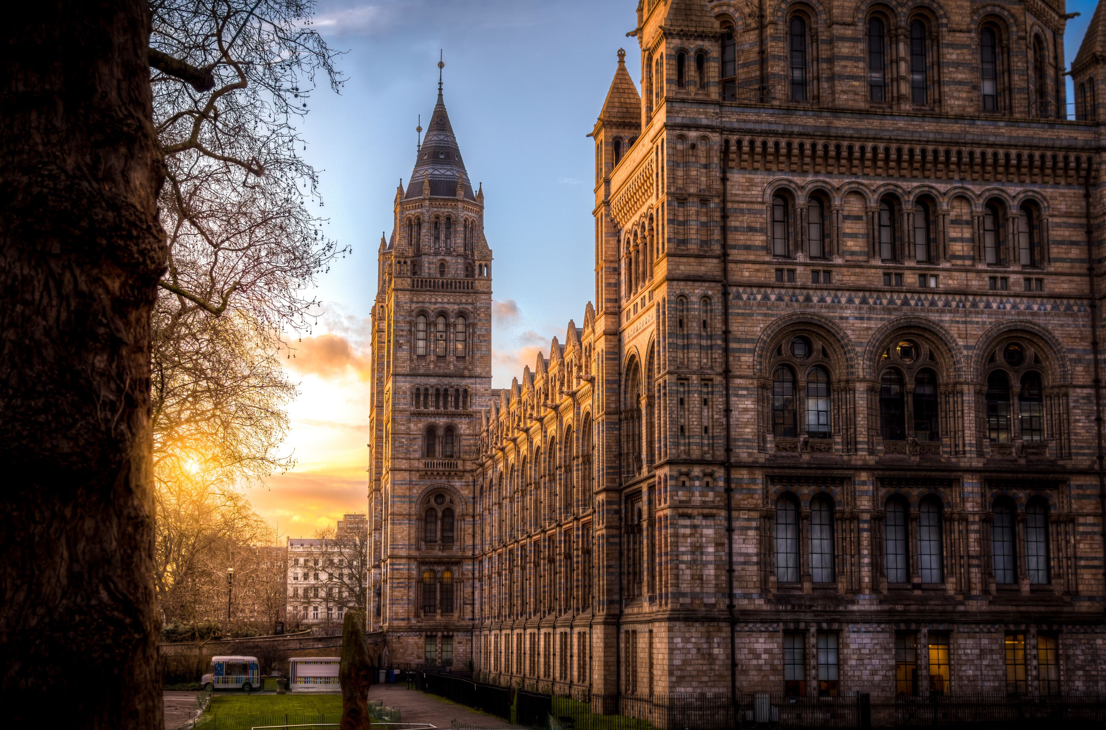 The Natural History Museum