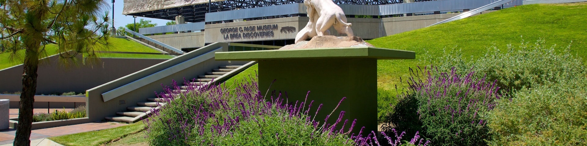 Explore La Brea Tar Pits in Los Angeles showcasing prehistoric creatures and unique geological formations