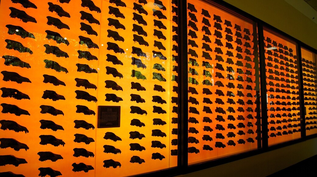 Exploring the La Brea Tar Pits with fossil displays showcasing ancient creatures in Los Angeles, California