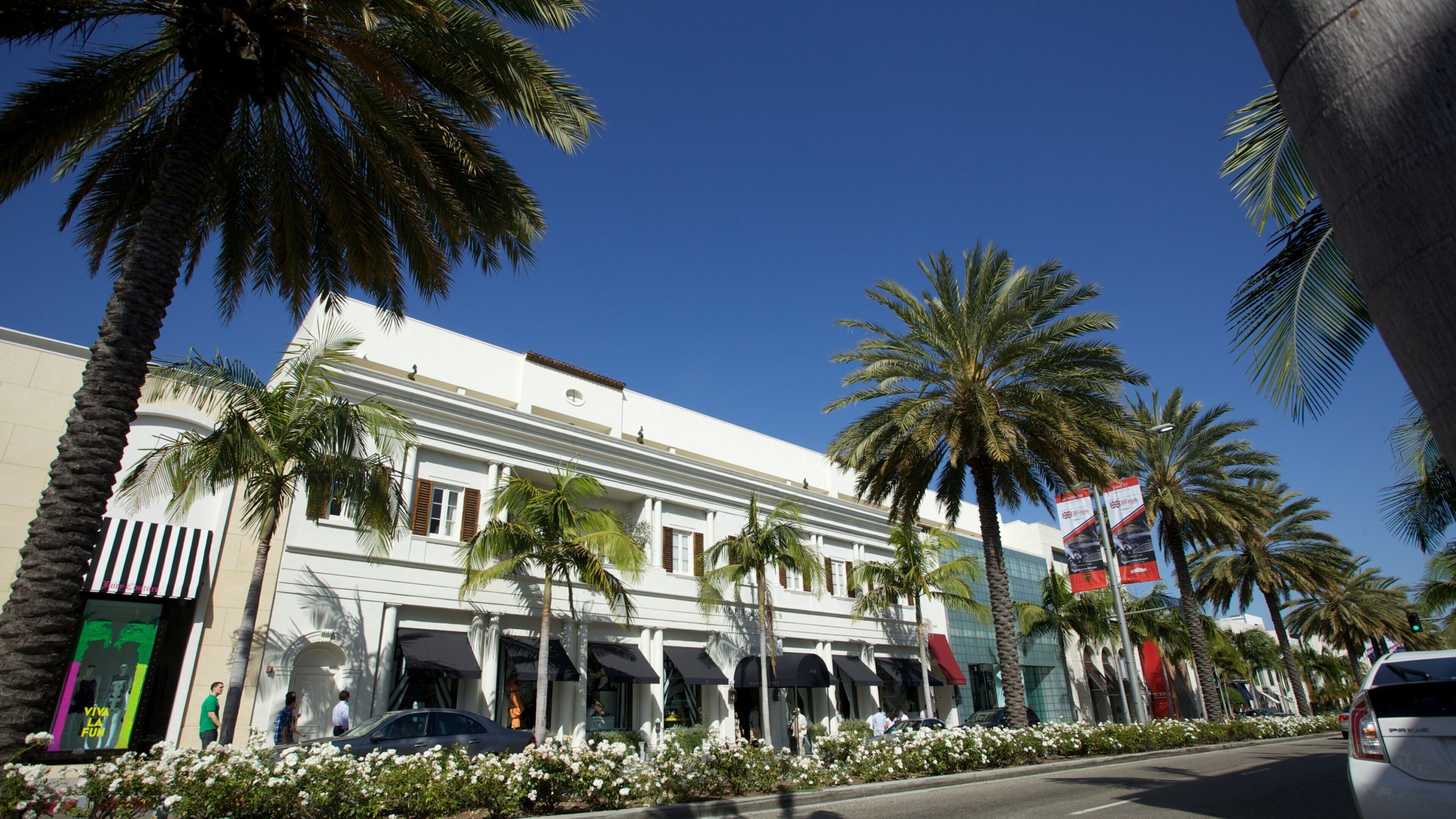 Rodeo Drive in Beverly Hills showcasing palm trees and upscale shops under a clear sky in California