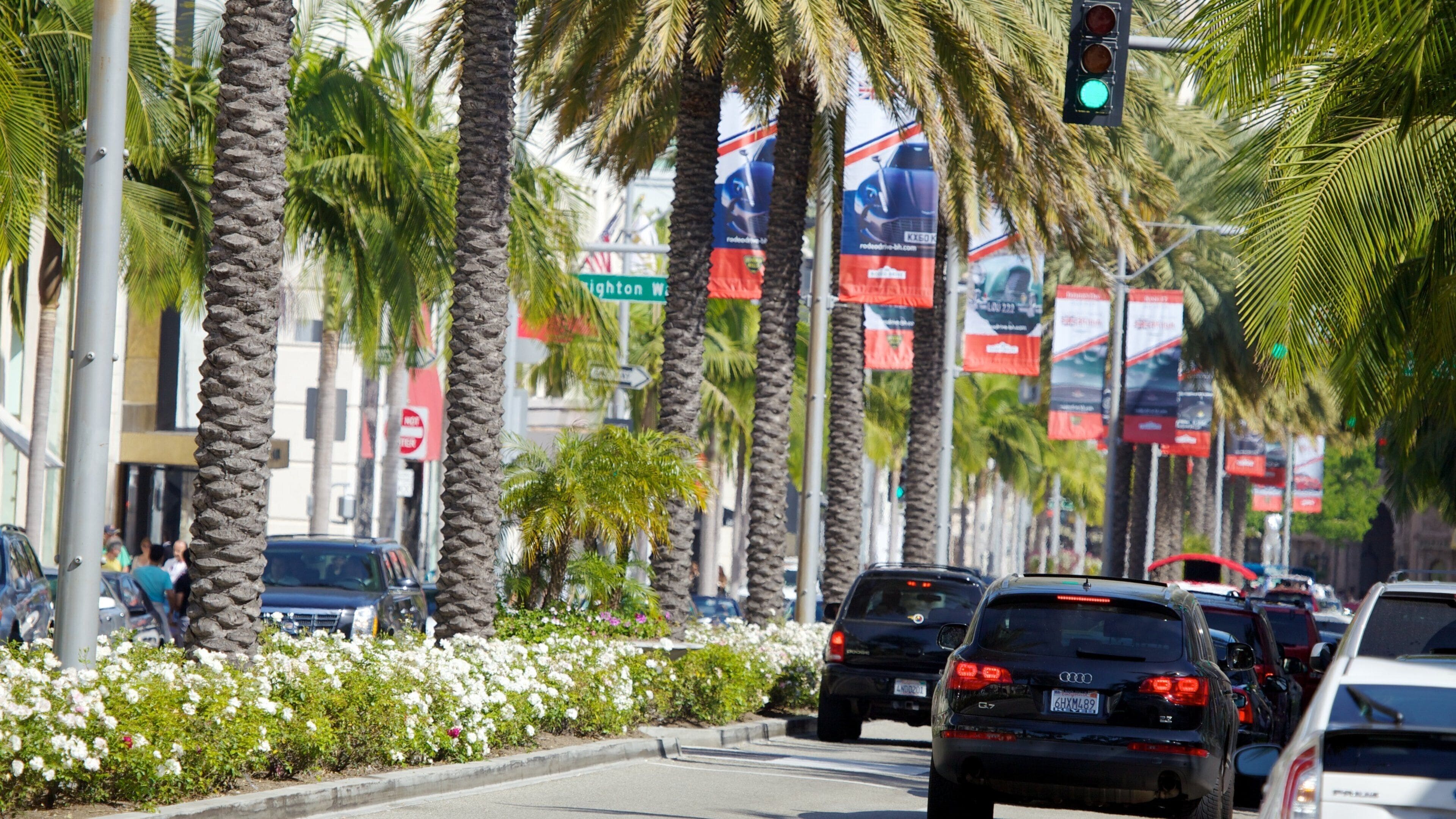 Rodeo Drive lined with palm trees and traffic in Beverly Hills during a bright day