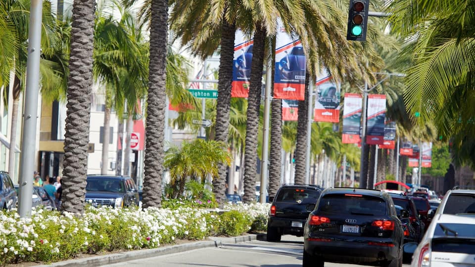 Rodeo Drive lined with palm trees and traffic in Beverly Hills during a bright day