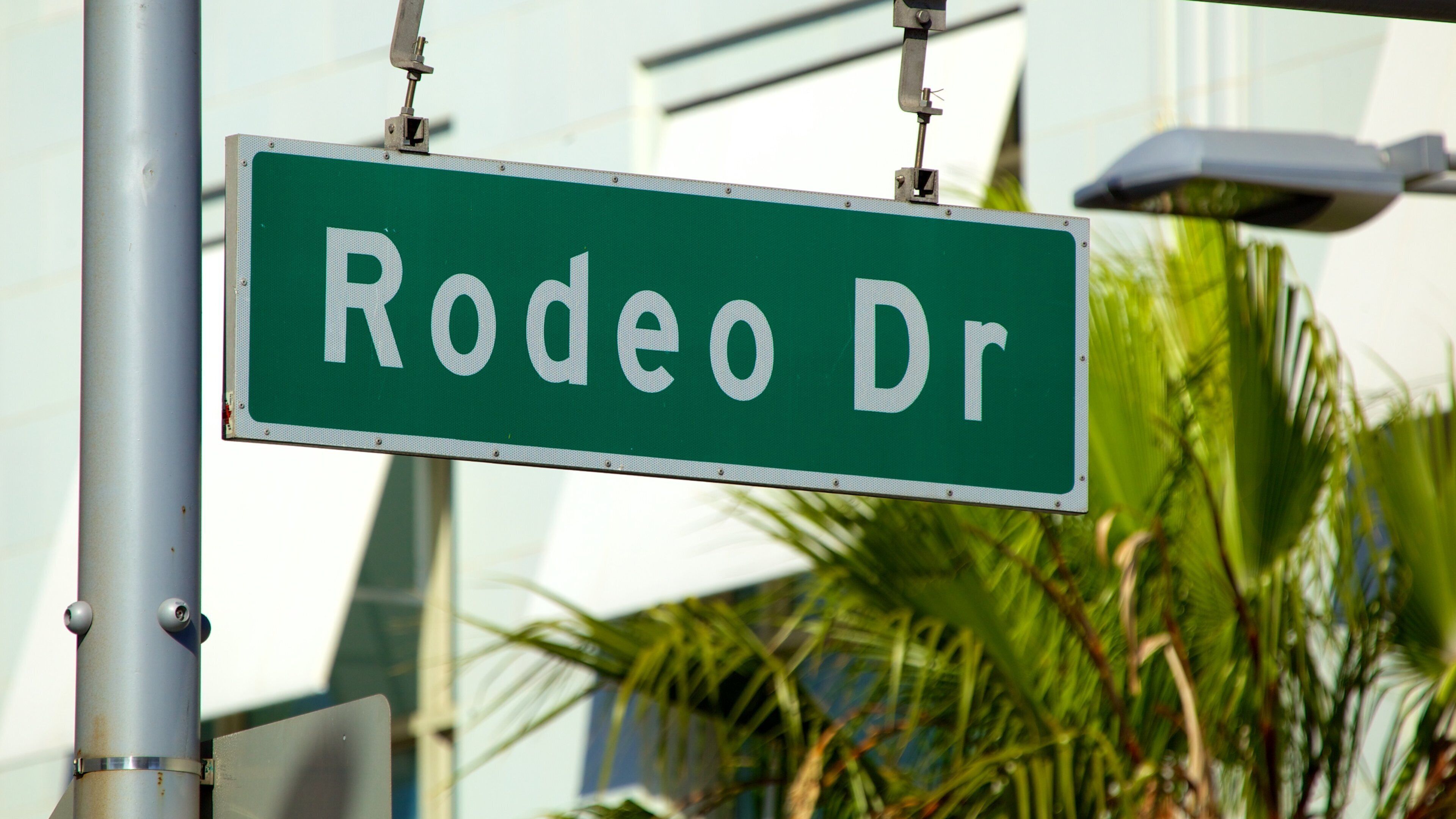 Rodeo Drive which includes signage