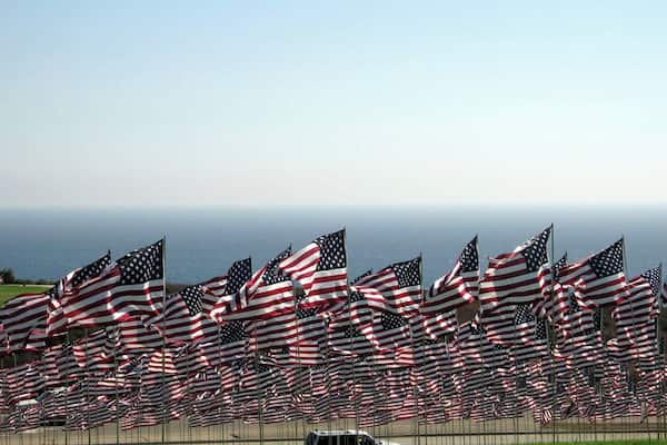 A large number of American flags waving in the wind, with a view of the ocean in the background.