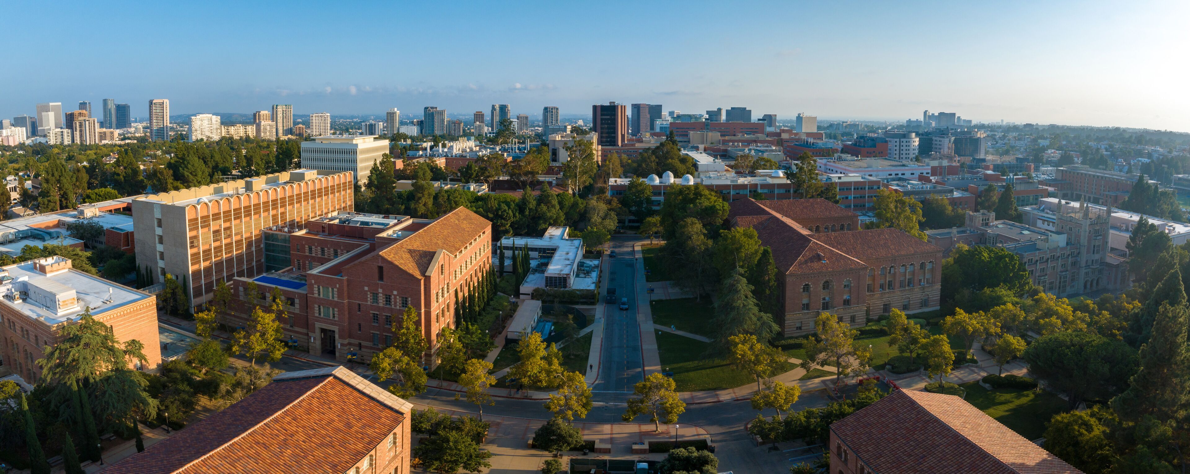Panoramic early morning view of a serene university campus, blending historic brick buildings with modern high-rises, surrounded by lush greenery and distant ocean vistas.