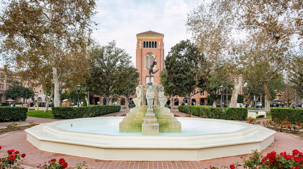 Sunny view of the Bovard Aministration, Auditorium of the University of Southern California