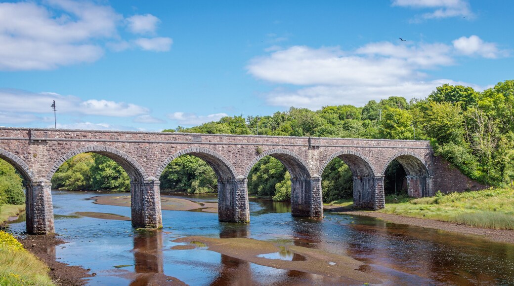 Newport, Ireland - June 29 2024 "Wild Atlantic Way road in west Ireland"