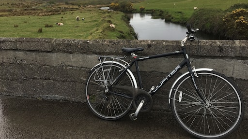 A fabulous ride for the family!